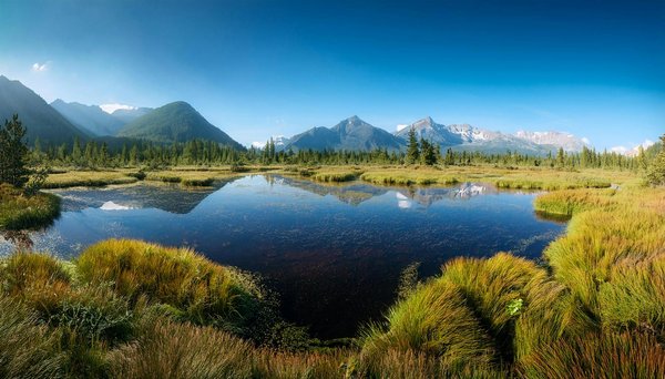 Vacances d'été durables : astuces et conseils pour réussir un séjour éco-responsable