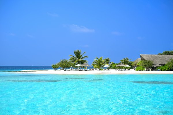 Épopée gastronomique : le guide ultime pour explorer les saveurs du monde